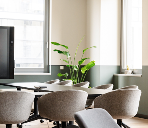 Inside 7N office with grey chairs and a green plant